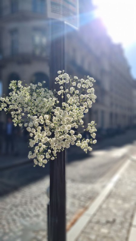 Fleurs en hommage à Paul.